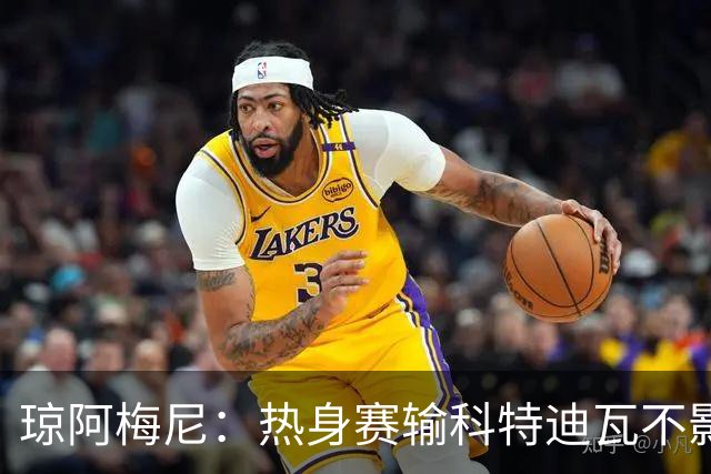 琼阿梅尼：热身赛输科特迪瓦不影响法国，可以说是一次小小的提醒